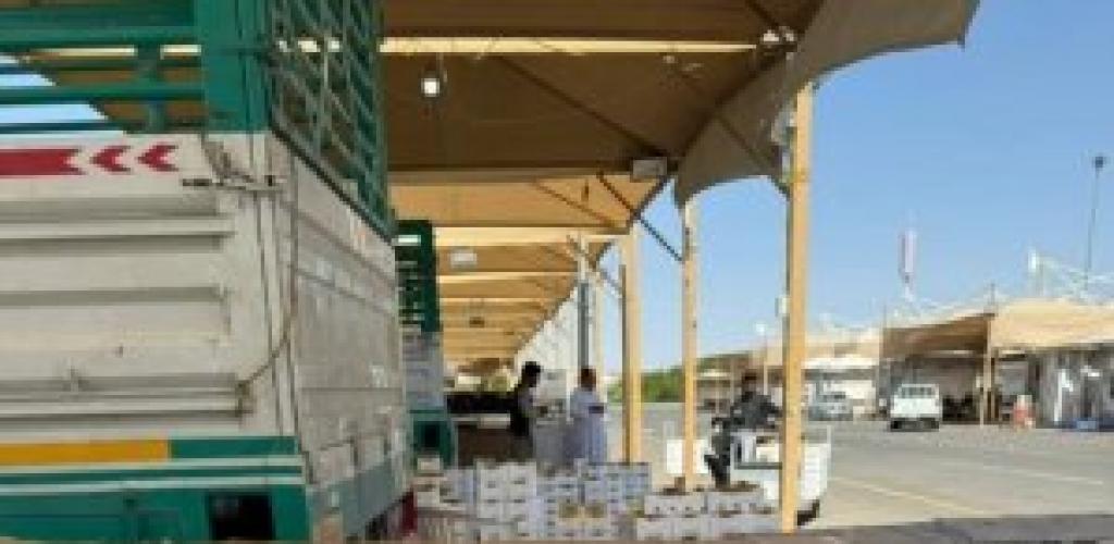 رطب المدينة المنورة يغزو 7 أسواق رئيسية في المملكة مع بداية الموسم