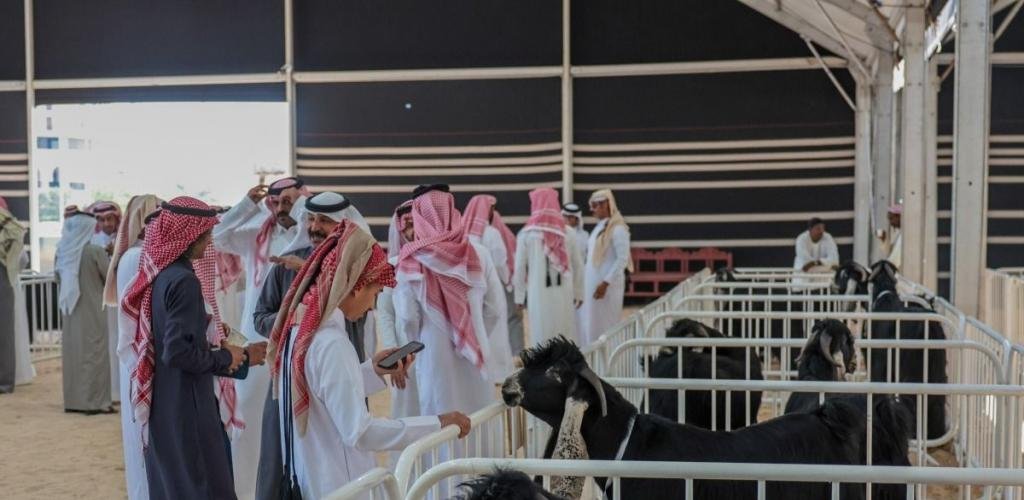 أخبار قطر |  انطلاق فعاليات مهرجان حلال قطر 2026 بكتارا | عيون الجزيرة قطر