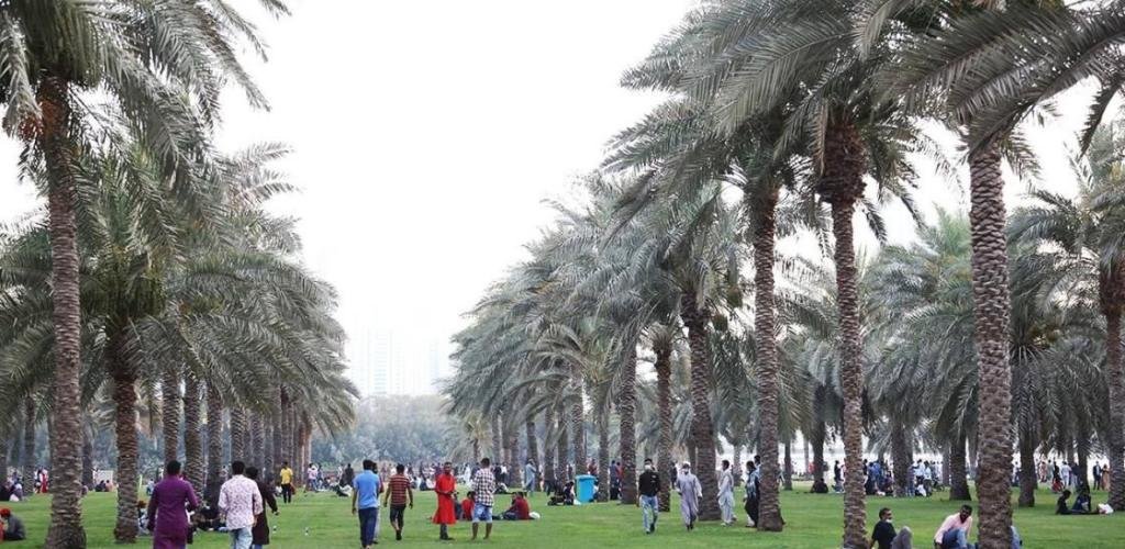 الامارات الان | الإمارات.. واحة الأمان للمقيمين في مواجهة التحديات العالمية | عيون الجزيرة الامارات