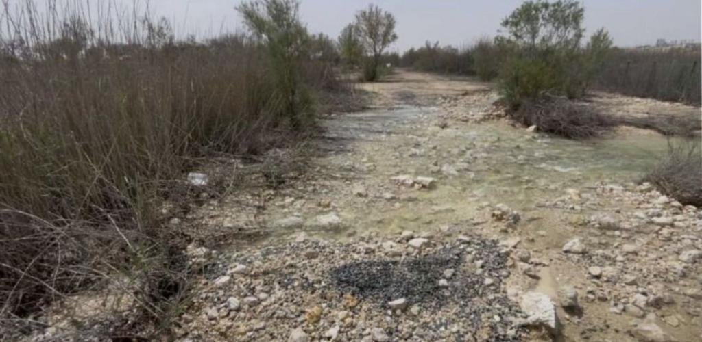 أخبار قطر | وزارة البيئة: ضبط شركة قامت بتفريغ مياه صرف صحي معالجة في المزروعة | عيون الجزيرة قطر