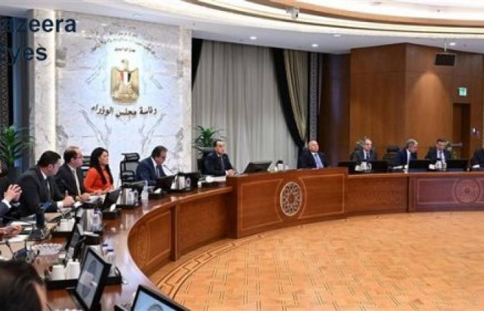 Egypt Moves from Near Collapse in 2014 to Economic Stability, PM Says