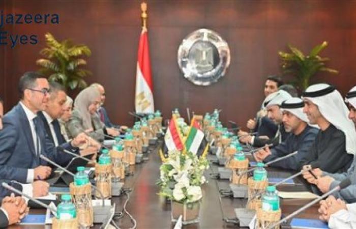 Egypt and UAE Discuss Comprehensive Partnership to Boost Trade and Investment