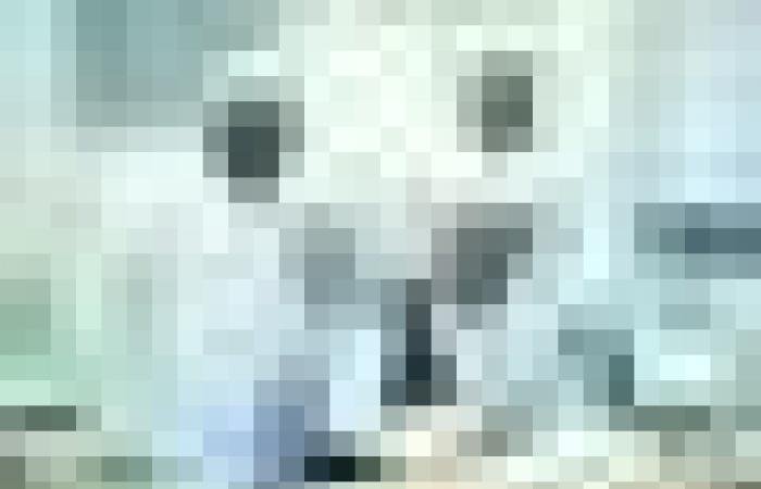 أخبار سلطنة عمان | تدشين برنامج "ثروة" لاكتشاف وتنمية مواهب الطلبة بالبريمي | عيون الجزيرة الاخبارية عمان