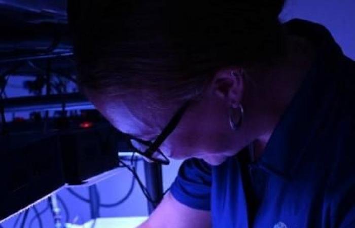 الامارات الان | دراسة تحدد أنواع المرجان الأكثر تحملاً للحرارة بالإمارات | عيون الجزيرة الامارات