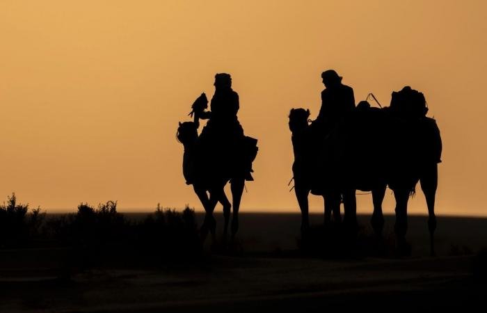 أخبار قطر | تأهل فريق "لجلعة" إلى نهائي بطولة القلايل 2026 | عيون الجزيرة قطر