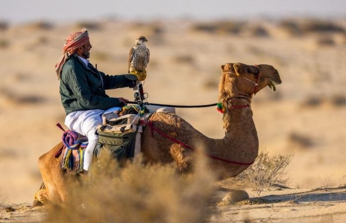 الرياضة في قطر | لجلعة يحافظ على صدارة المجموعة الثانية ويقترب من التأهل لنهائي بطولة القلايل 2026 | عيون الجزيرة الاخبارية