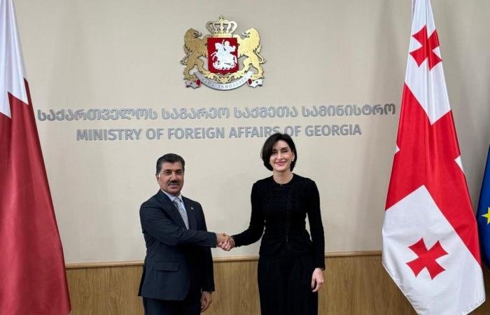 أخبار قطر | الأمين العام لوزارة الخارجية يجتمع مع وزيرة خارجية جورجيا | عيون الجزيرة قطر