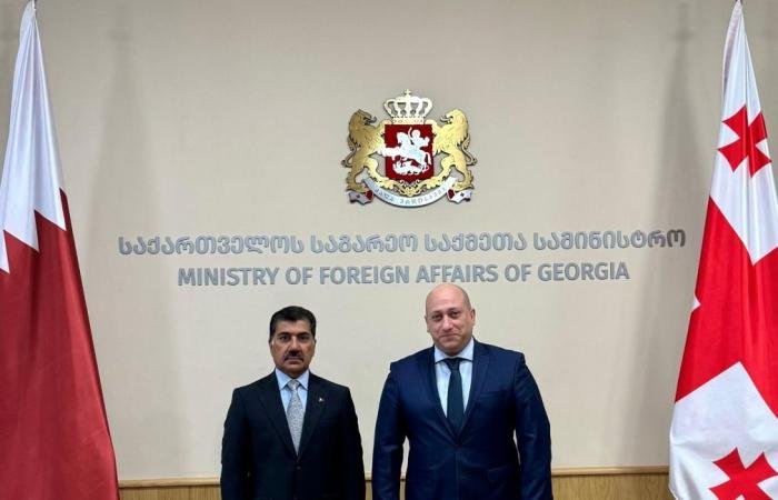 أخبار قطر | جولة مشاورات سياسية بين دولة قطر وجورجيا | عيون الجزيرة قطر