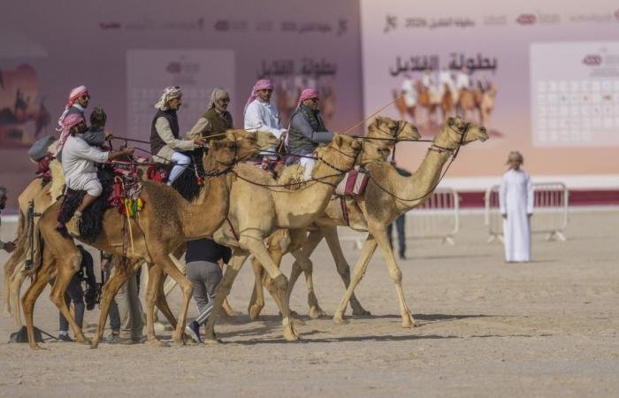 أخبار قطر | انطلاق منافسات المجموعة الثالثة في بطولة القلايل 2026 | عيون الجزيرة قطر