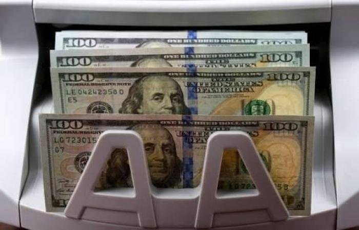 سعر الدولار مقابل الجنيه في البنوك المصرية السبت 31 يناير 2026