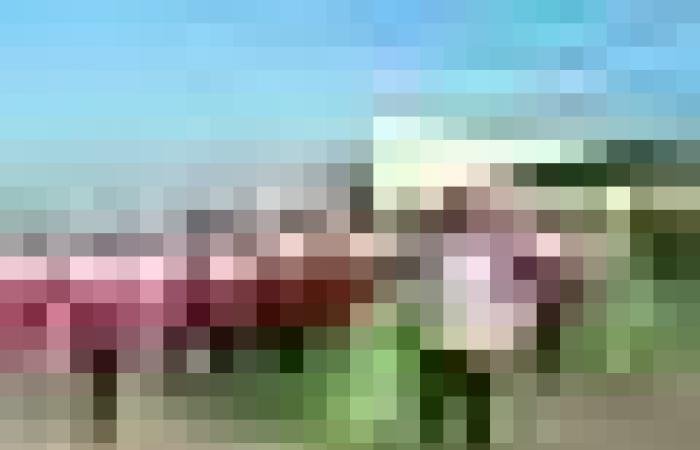 أخبار سلطنة عمان | "شواطئنا مسؤوليتنا".. مبادرة ترسخ الوعي البيئي بولاية بوشر | عيون الجزيرة الاخبارية عمان