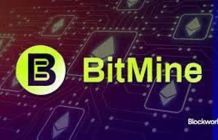 «بيت ماين» تخسر 6 مليارات دولار في «الإيثريوم»