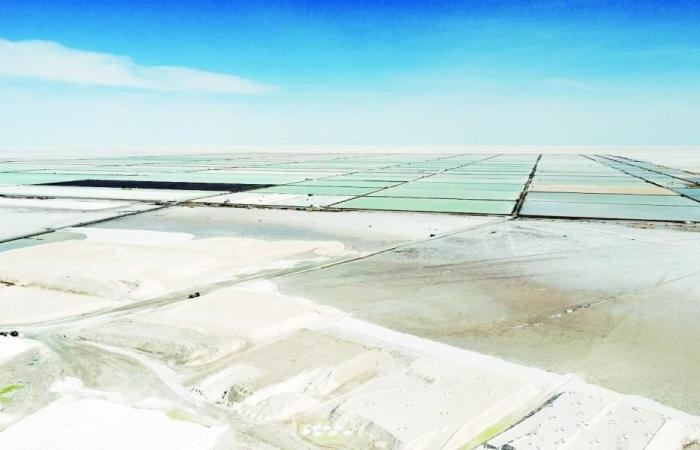 ديوان المحاسبة الأوروبي يحذّر من القدرة على ضمان إمدادات المعادن