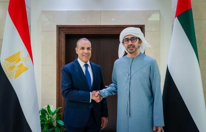 وزيرا الخارجية الإماراتي والمصري يبحثان دعم إدارة غزة وتعزيز إيصال المساعدات الإنسانية | عيون الجزيرة