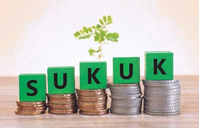 فيتش: 85% من إصدارات الصكوك والسندات ضمن الدرجة الاستثمارية