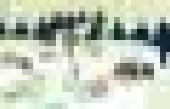 أخبار سلطنة عمان | "الرأي والمسؤولية" لقاء تربوي بمصيرة يبحث أهمية الانتظام الدراسي | عيون الجزيرة الاخبارية عمان