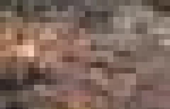 أخبار سلطنة عمان | وفد دولي يطلع على التجربة العمانية في تطوير منظومة الحماية الاجتماعية | عيون الجزيرة الاخبارية عمان