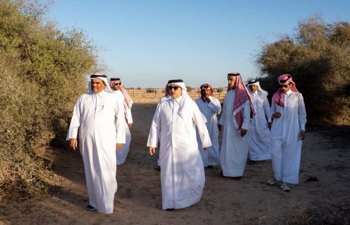 أخبار قطر | وزير البيئة والتغير المناخي يؤكد على ضرورة حماية الروض والمحميات الطبيعية | عيون الجزيرة قطر