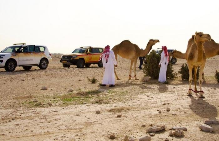 أخبار قطر | البيئة ترصد مخالفات بيئية ورعيا جائرا ومخيمات غير مرخصة | عيون الجزيرة قطر