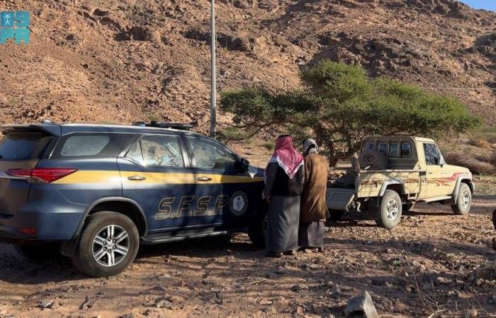 أخبار السعودية | ضبط مخالفين قطعا أشجارا بتبوك | عيون الجزيرة السعودية الان