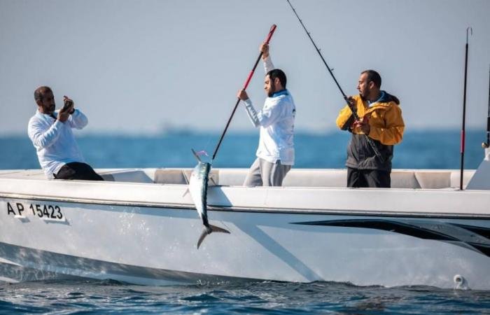 الرياضة الان | بطولات الظفرة لصيد الكنعد بمحطتها الثانية تنطلق الجمعة | عيون الجزيرة الرياضي