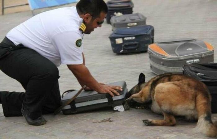 1455 عملية ضبط في المنافذ الجمركية خلال أسبوع.. أبرزها الأسلحة والمخدرات