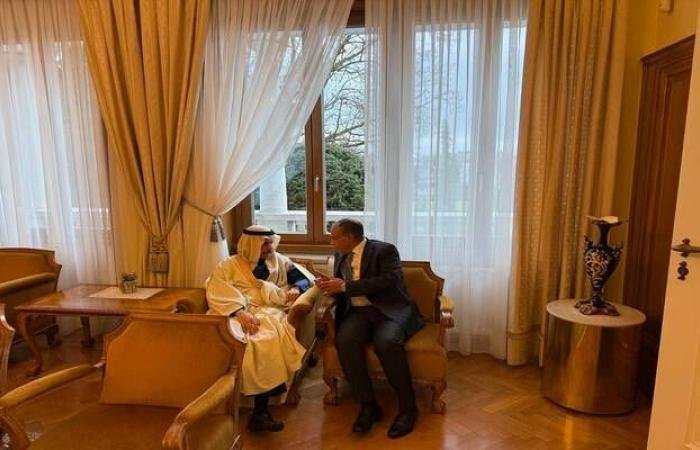 وزيرا خارجية مصر والسعودية يبحثان العلاقات الثنائية والمستجدات الإقليمية