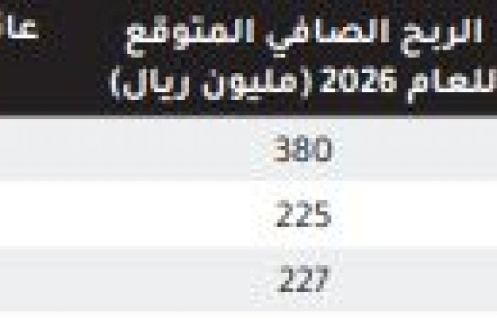شركة ابحاث: قطاع تأجير السيارات السعودي يدخل مرحلة النمو وتحسين العوائد
