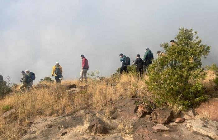 أخبار السعودية | في مسار تمكين العمل التطوعي 2025.. البيئة والمياه والزراعة تحصد المركز الأول بمنظومة أداء متكاملة | عيون الجزيرة السعودية الان