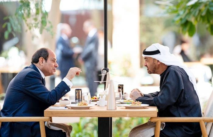 الرئيسان الإماراتي والمصري: مواصلة التشاور الأخوي والتنسيق المشترك | عيون الجزيرة