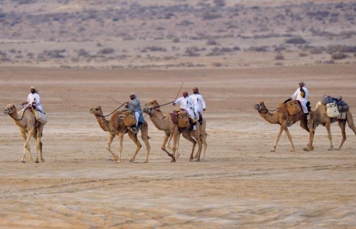 أخبار قطر | انطلاق منافسات المجموعة النهائية في بطولة القلايل 2026 | عيون الجزيرة قطر