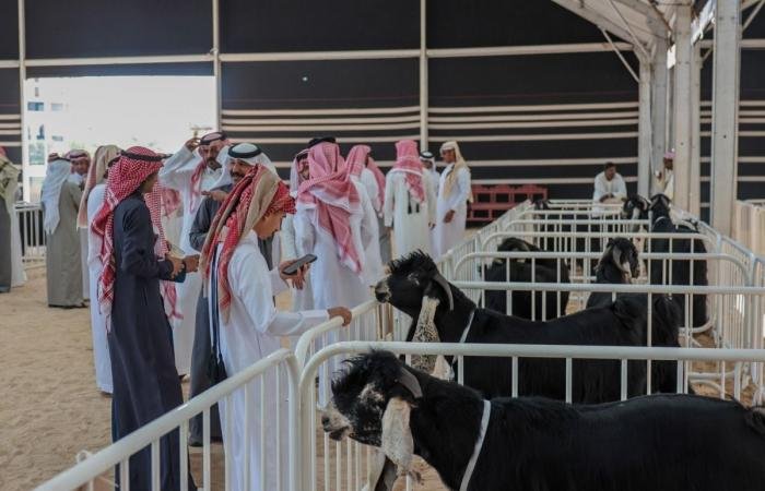 أخبار قطر |  انطلاق فعاليات مهرجان حلال قطر 2026 بكتارا | عيون الجزيرة قطر