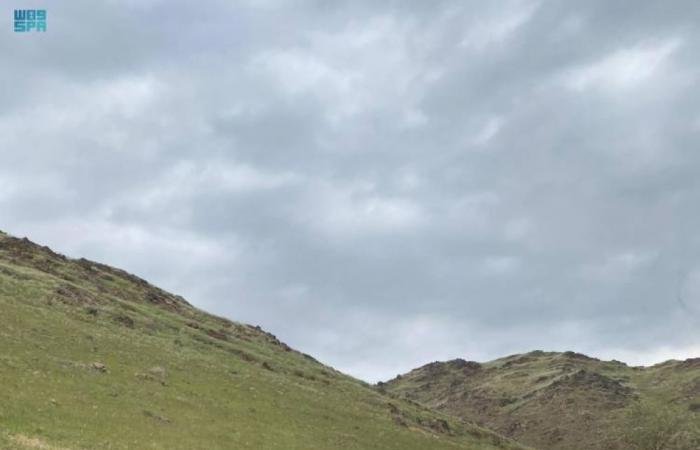 أخبار السعودية | 12 مخالفة بيئية بروضة خريم | عيون الجزيرة السعودية الان