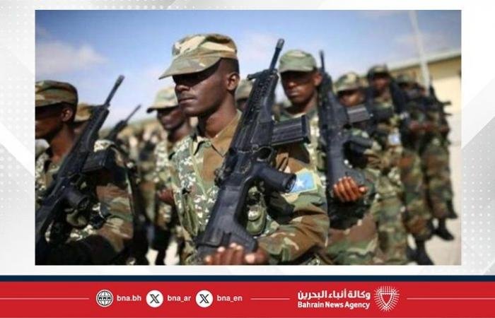 الجيش الصومالي يقتل 14 عنصرًا إرهابيًا في عملية بمحافظة جوبا السفلى | عيون الجزيرة