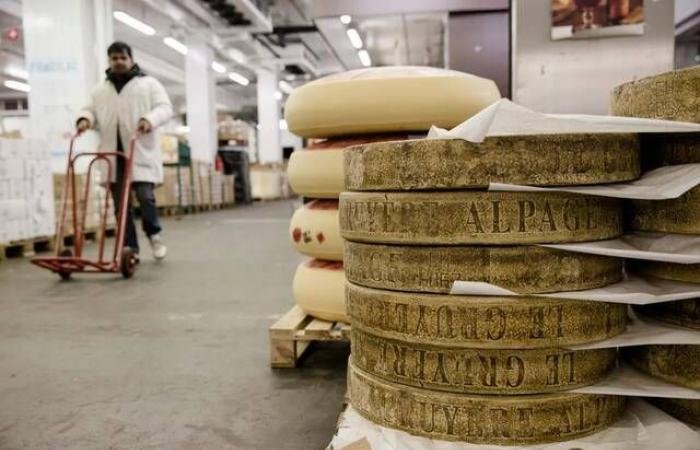 الصين تخفض الرسوم على ألبان أوروبا مع آمال بانفراجة تجارية