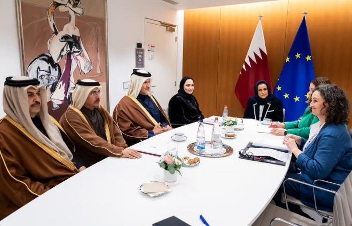 أخبار قطر | مجلس الشورى يؤكد حرص قطر على أن تكون شريكاً فاعلاً مع الجانب الأوروبي في القضايا الإقليمية والدولية | عيون الجزيرة قطر