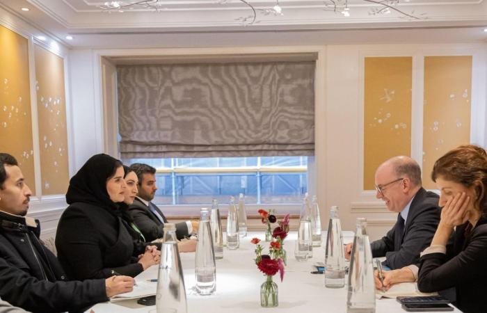 أخبار قطر | وزير الدولة للتعاون الدولي تجتمع مع وكيل وزارة التعاون الاقتصادي والتنمية الألماني | عيون الجزيرة قطر