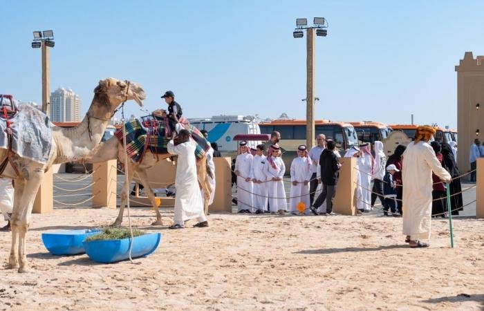 أخبار قطر |  تواصل فعاليات مهرجان حلال قطر.. وسط حضور جماهيري لافت من قطر ودول المنطقة | عيون الجزيرة قطر