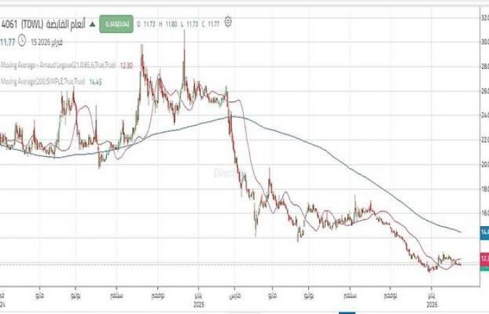 ضعف واضح لأحجام التداول لسهم "أنعام القابضة" والسعر يختبر مستوى دعم هاماً