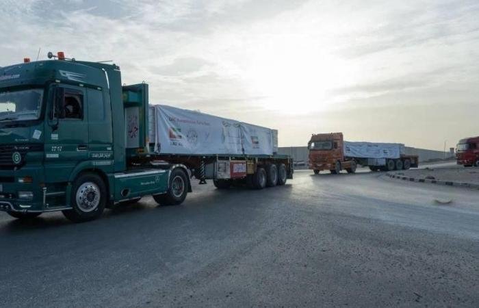 الامارات الان | الإمارات.. الدفعة الأولى من «سفينة صقر الإنسانية» تصل إلى غزة لإغاثة الفلسطينيين | عيون الجزيرة الامارات