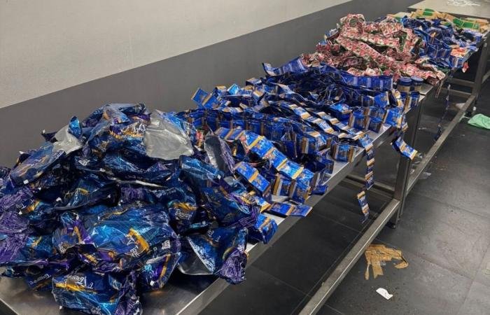 أخبار الكويت | «الجمارك»: ضبط 13 كيلوغراماً من «التنباك» بحوزة مسافر هندي | عيون الجزيرة الكويت