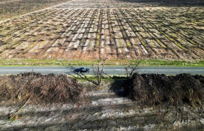 أضرار الظواهر المناخية المتطرفة تكلّف أوروبا 45 مليار يورو سنوياً