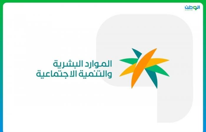 إلزام القطاع الخاص بتوفير فرص تدريبية للخريجين والباحثين عن عمل
