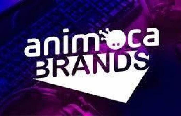 «أنيموكا براندز» تنال ترخيص «تنظيم الأصول في دبي»