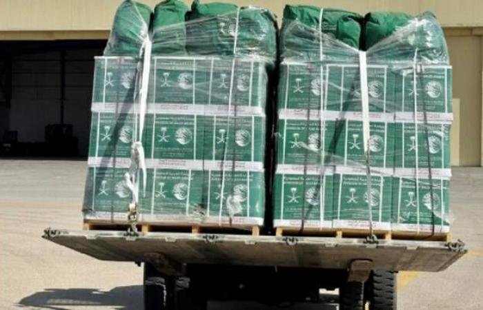 وصول الطائرة الإغاثية السعودية الـ81 إلى العريش لدعم الشعب الفلسطيني في غزة