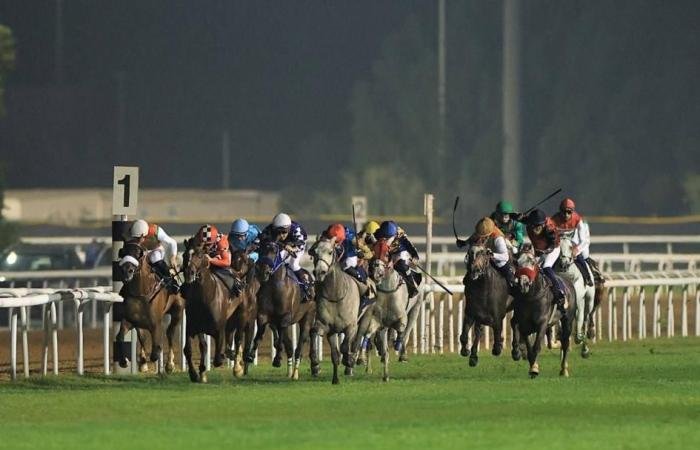 الرياضة الان | 104 خيول تتنافس في السباق الـ 11 على مضمار أبوظبي | عيون الجزيرة الرياضي