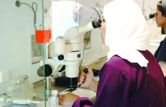 أخبار سلطنة عمان | 272 حالة حمل و99 مولودا في مركز الإخصاب بالوطية | عيون الجزيرة الاخبارية عمان
