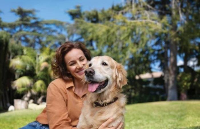 ضوابط لاصطحاب حيوانات الرفقة في فنادق أبوظبي