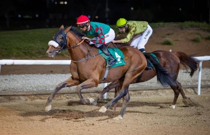 الرياضة الان | صراع قوي في ماراثون مضمار العين | عيون الجزيرة الرياضي