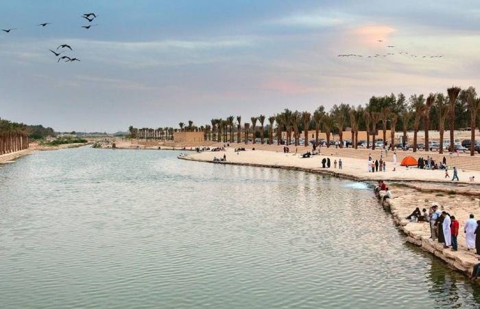 أخبار السعودية | وادي حنيفة.. على ضفافه سيرةٌ تُروى | عيون الجزيرة السعودية الان